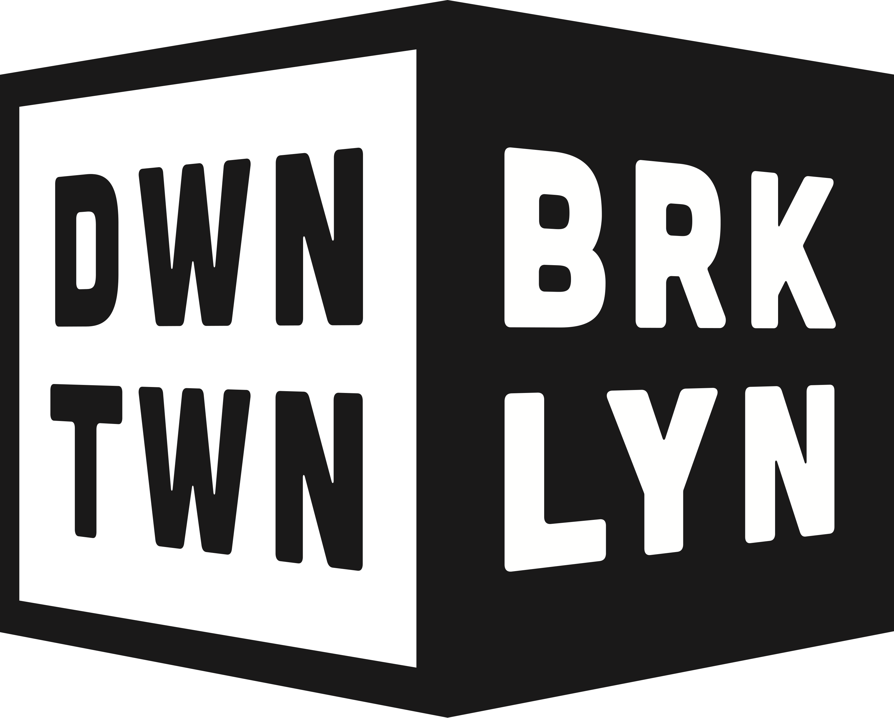 Downtown Brooklyn